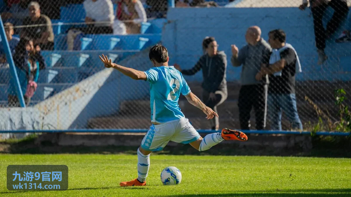 九游9官网问题反馈表单示意图
